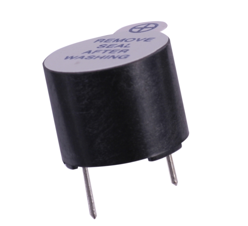 Magnetic buzzer - standard type photo.jpg